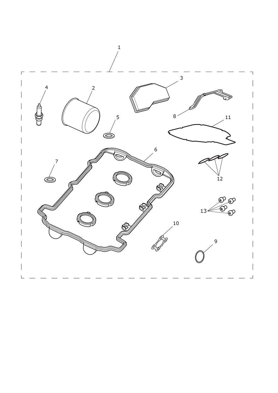 Triumph Speed Triple Engine Service Kit - T3990614