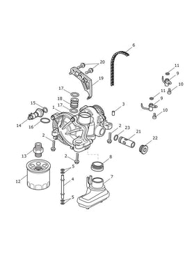 Triumph Oil/Water Pump Assembly - T1210333