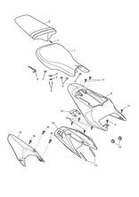 Triumph Daytona 675 Rear Panel - Pearl White Special Edition - T2307573-NI