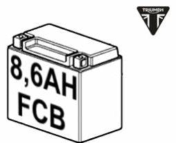 T2509590 Triumph Battery
